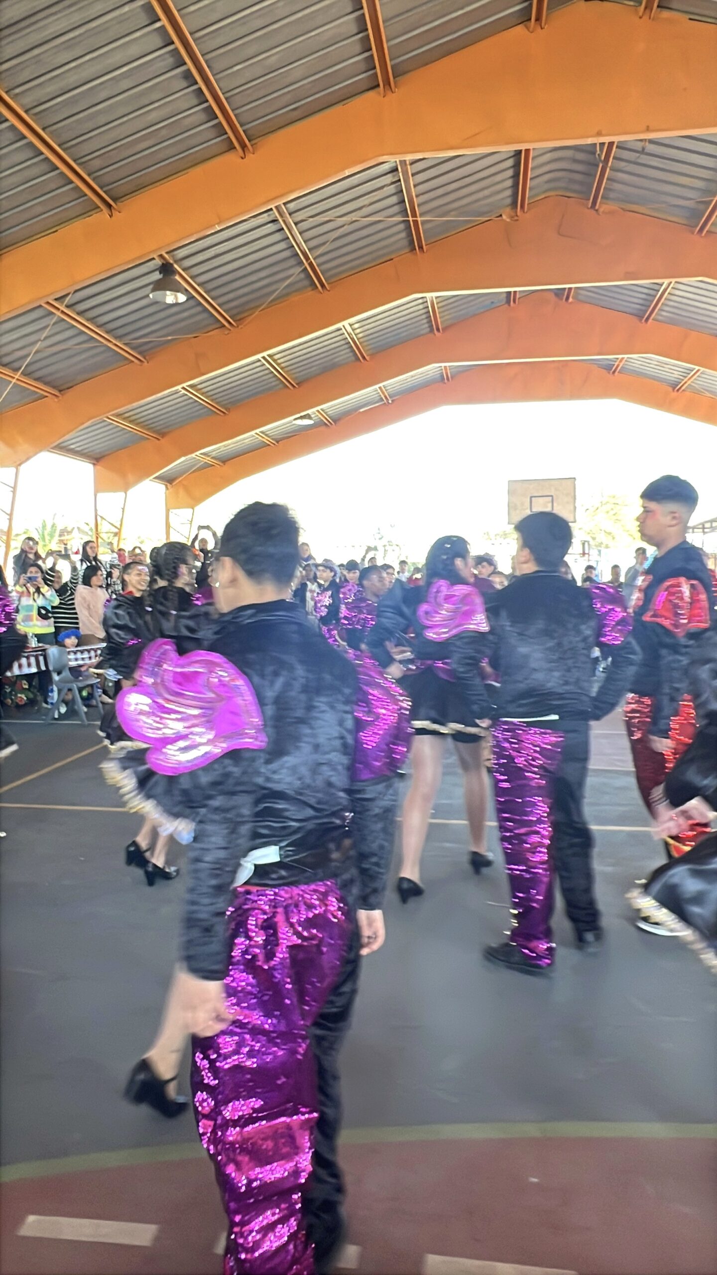 Estudiantes de 8.º básico durante el baile Andu – Caporal (6 de 15)